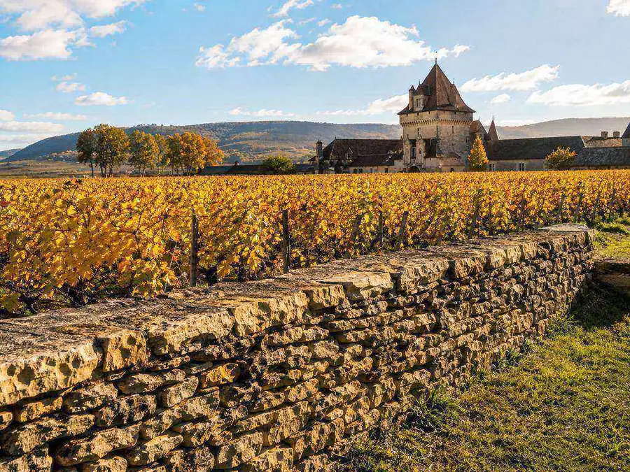 Die Mauer des Clos, gesehen von den Weinbergen der Côte de Nuits